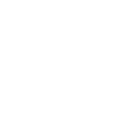 maori-tattoo-turtle-white-png